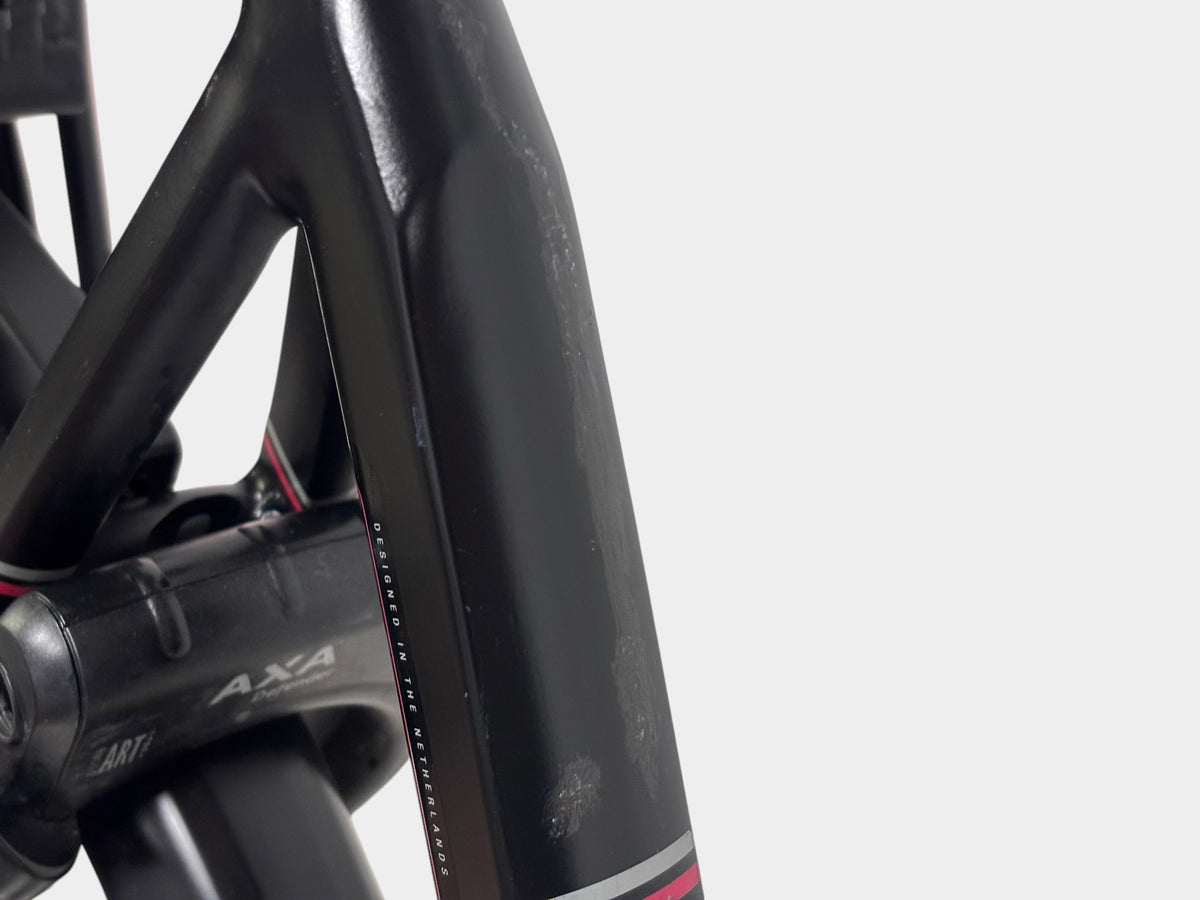 Amslod Newton LX Dames 57cm 2018 Zwart (Gebruikte E-bike)