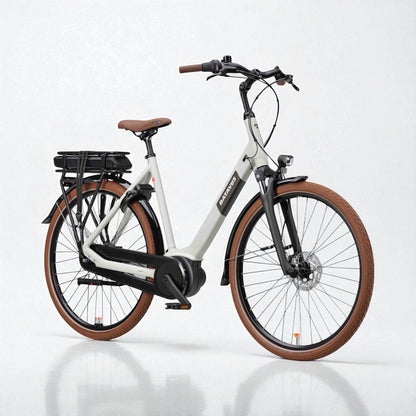 eBike Huren
