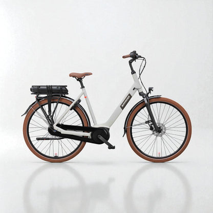 eBike Huren