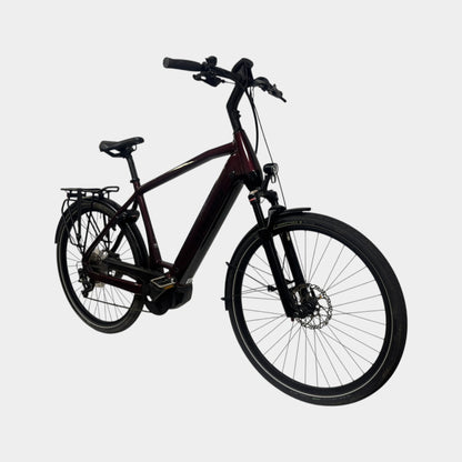 Stevens E-Triton PT6 e-Bike Heren 58cm Maroon 2023 | Occasion
