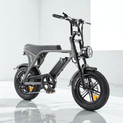 Kinder Fatbike Huren (10-14 jaar)