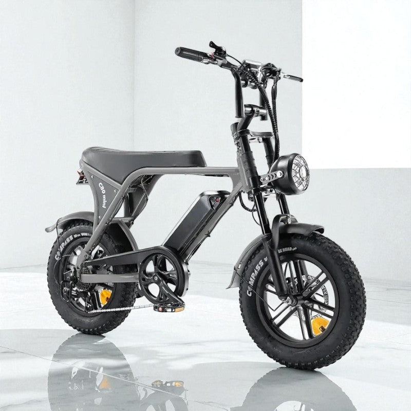 Kinder Fatbike Huren (10-14 jaar)