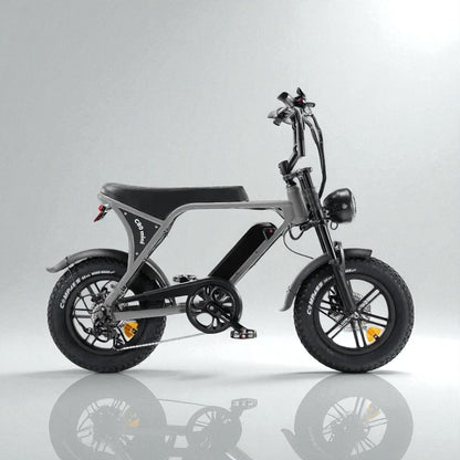 Kinder Fatbike Huren (10-14 jaar)