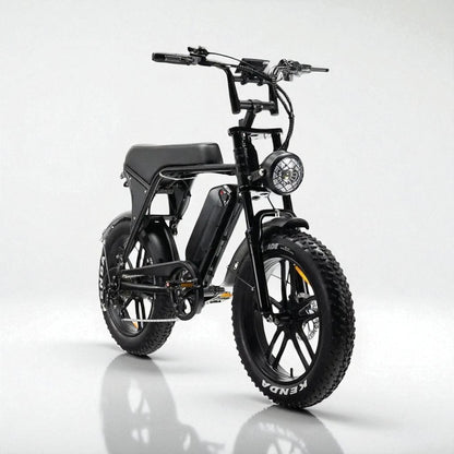Fatbike Huren (14+ jaar)