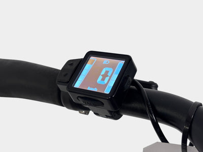 Batavus Finez E-go Lage Instap 53cm 2022 Petrol Silver Matt