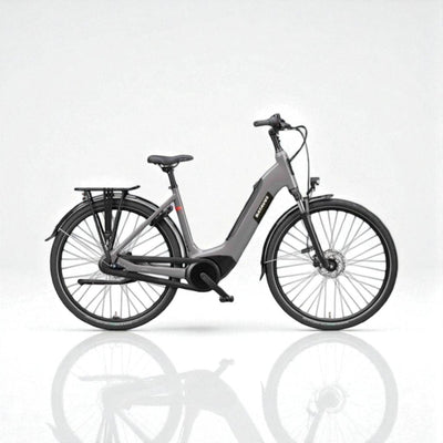 BATAVUS Altura E-go Power Pro BES3 Taupe 61cm 2025