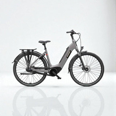 BATAVUS Altura E-Go Power Dames Taupe 56cm 2025