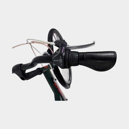 Bike Fun Kids Urban Grunge Jongensfiets 24'' Groen 2024 Gebruikt